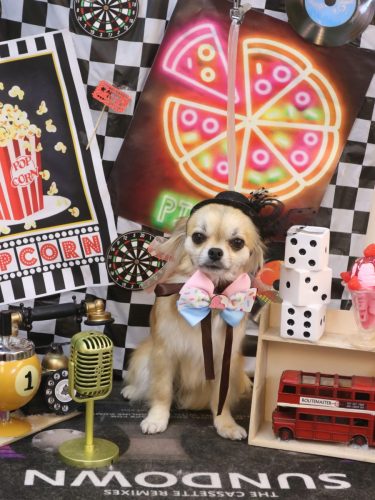 20260416ぽんくん