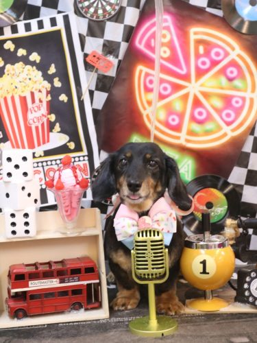 20260416モカちゃん