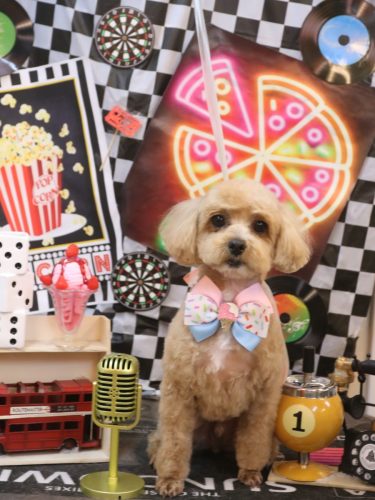 20260416シナモンくん