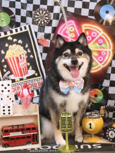 20260416琥太郎くん