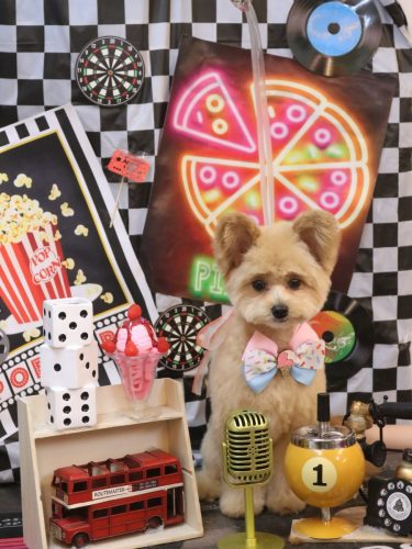 20260416キコちゃん