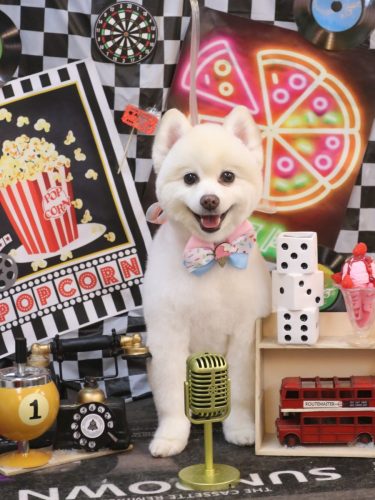 20260416ぽこちゃん