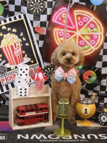 20260416チャッピーくん