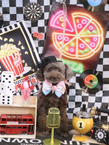 20260416モカくん