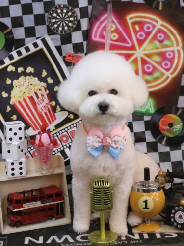 20260416姫葵ちゃん