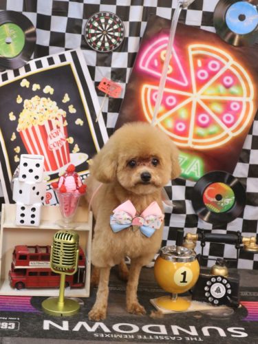 20260416部長くん