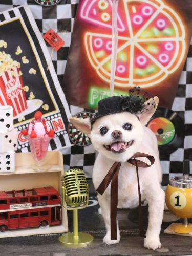 20260417ソックスくん