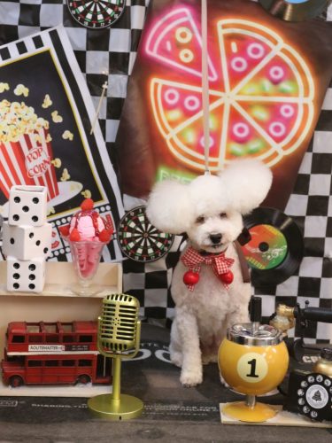 20260417あんちゃん