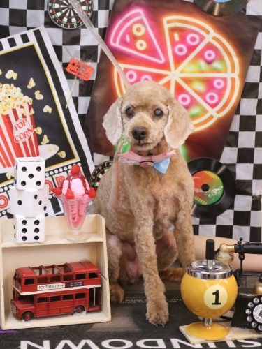 20260417マノアちゃん