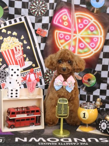 20260417モアちゃん