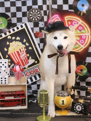 20260418ハナ子ちゃん