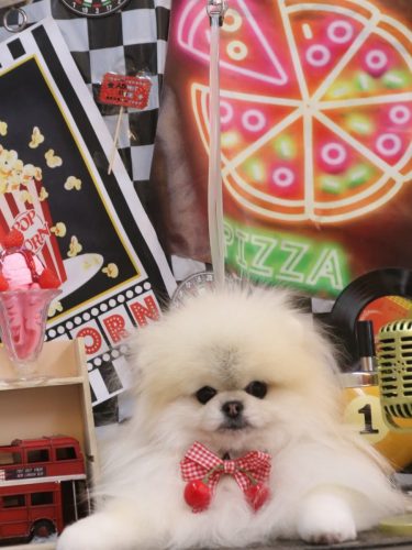 20260418さらりちゃん