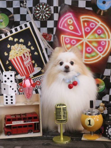 20260418ぷるりちゃん