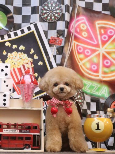 20260418あむちゃん