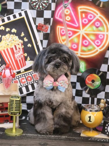 20260418うにちゃん