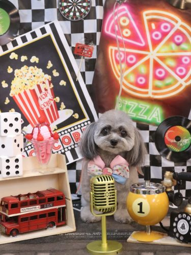 20260418べにちゃん