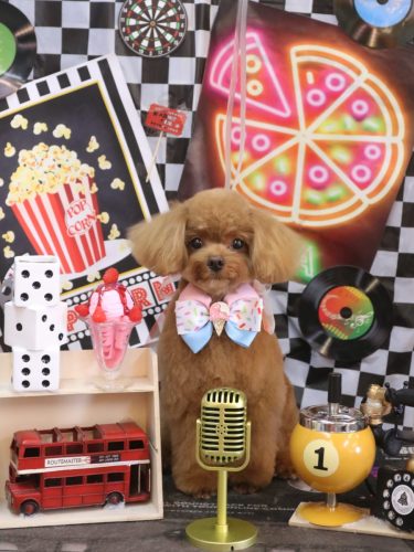 20260418れあくん