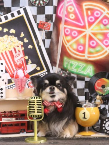 20260418プリンちゃん