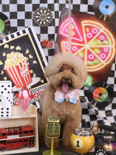 20260419カイくん