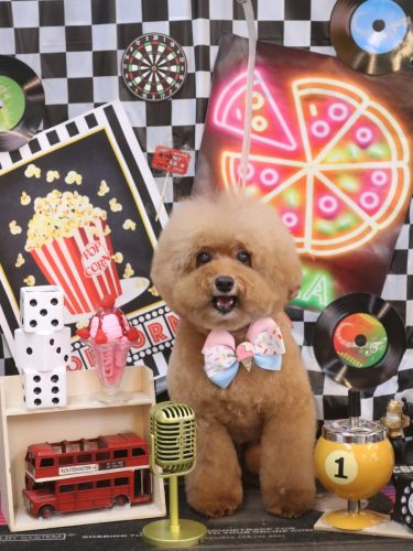 20260419ソラくん 