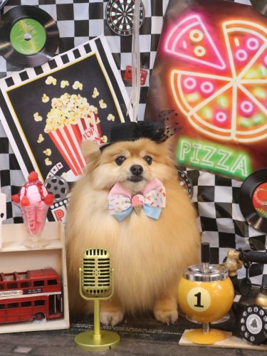 20260419梛都ちゃん