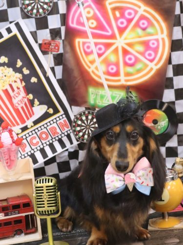 20260419カロくん