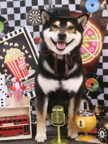 20260419ココくん