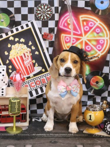 20260419ルーシーちゃん