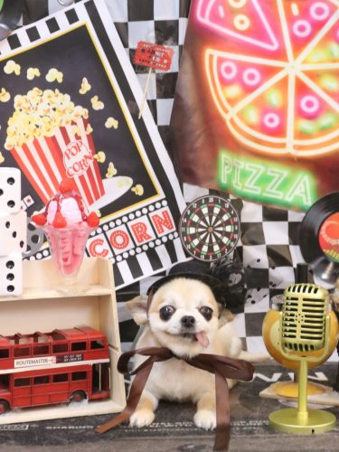 20260419momoちゃん