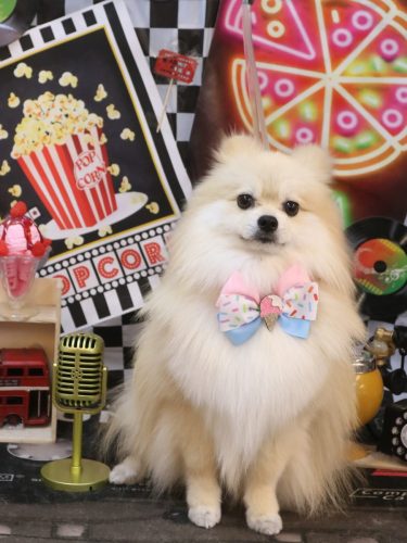 20260419なちゅくん