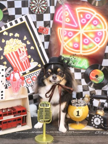 20260421天ちゃん