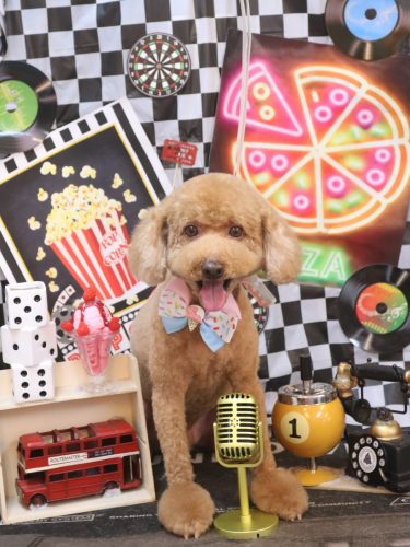 20260421むさしくん