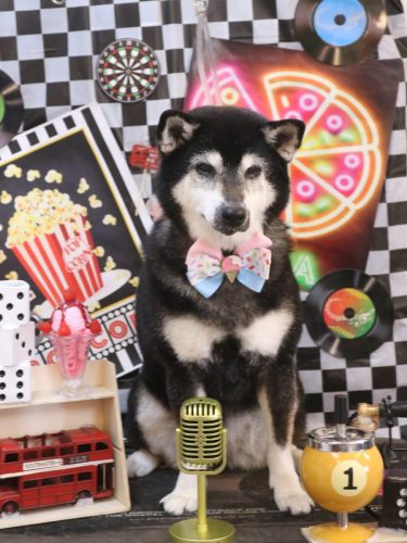 20260421ひめちゃん