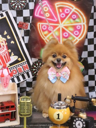 20260421ルルちゃん