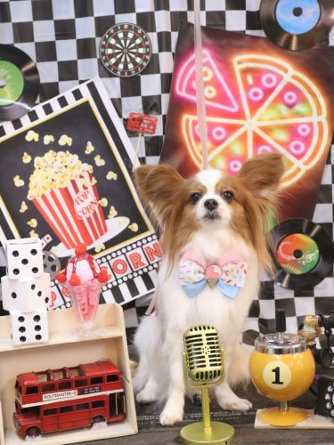 20260421ぎゅうちゃん