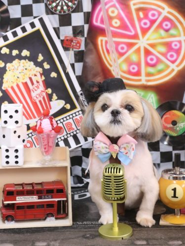 20260421カンタくん