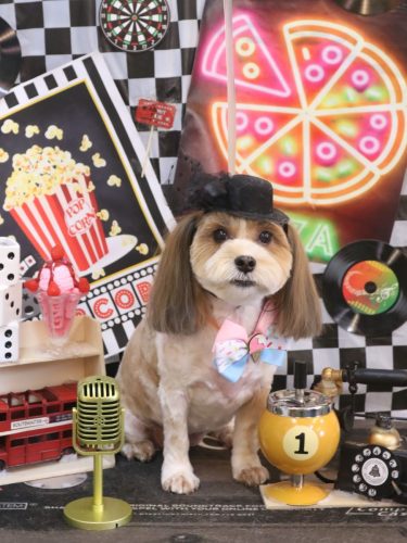 20260421メイちゃん