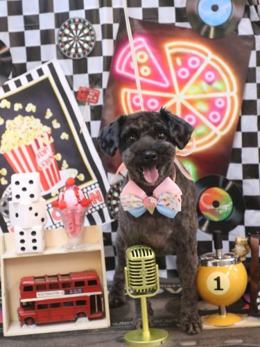 20260422りんちゃん