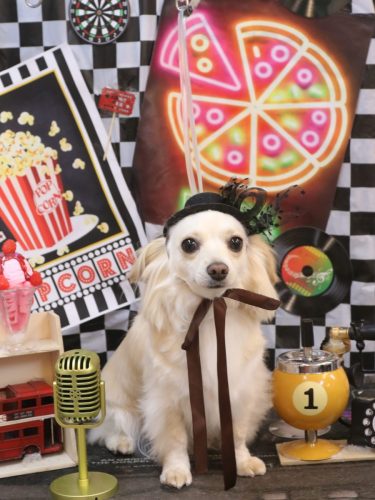 20260422めるちゃん