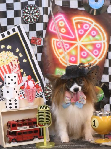 20260422ラナちゃん