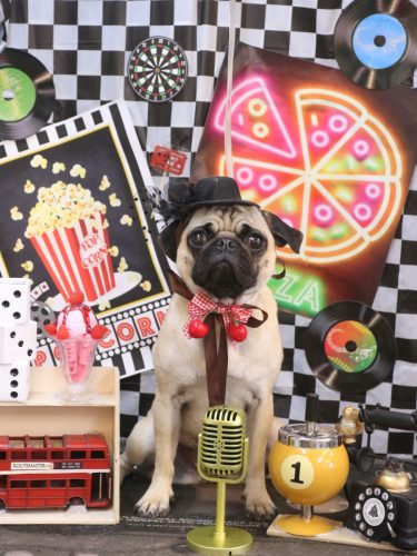 20260422ふぅちゃん