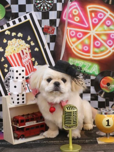 20260422ぺぺちゃん