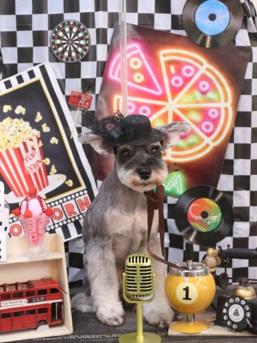 20260422むぎちゃん