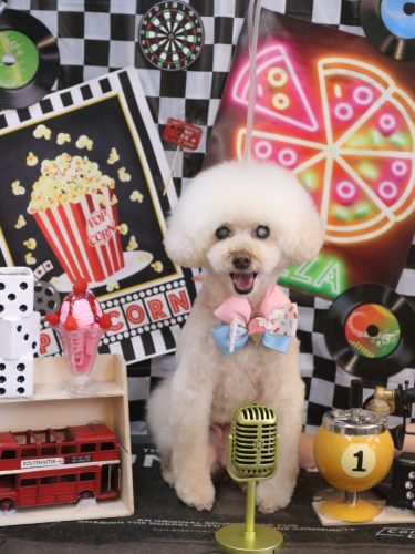 20260422ピッピちゃん