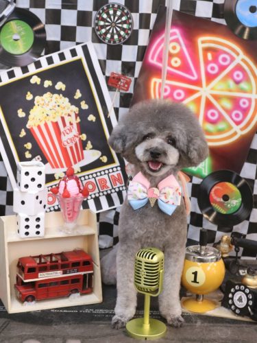 20260423るいくん