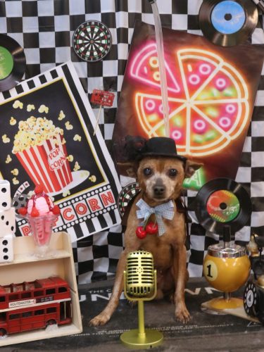 20260423リーダーくん