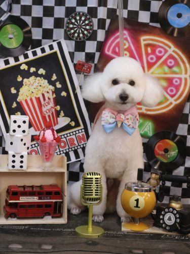 20260423ポンくん