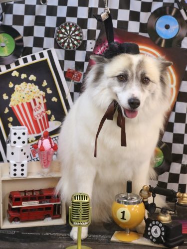 20260423シュシュちゃん