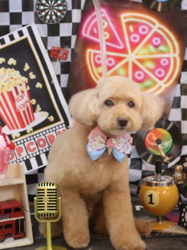 20260423モンチちゃん