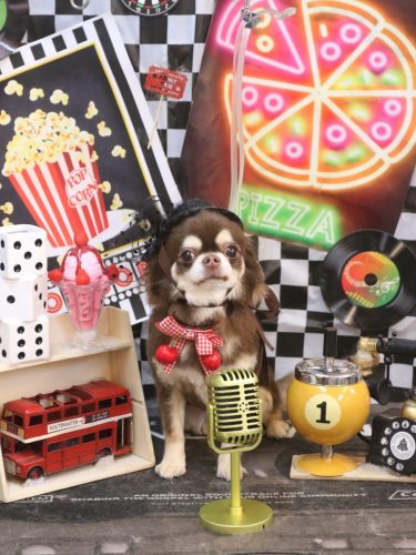 20260423くるみちゃん